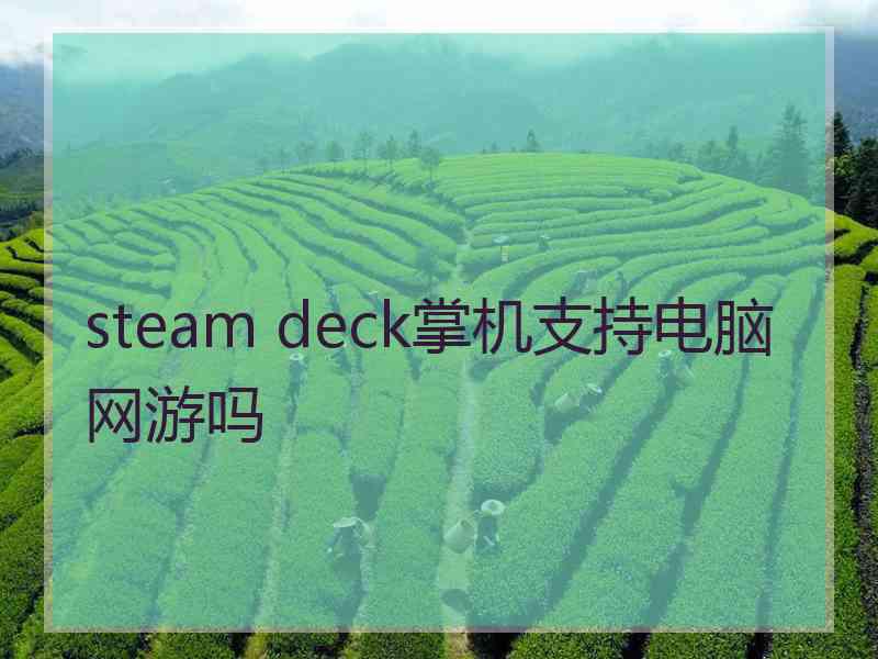 steam deck掌机支持电脑网游吗