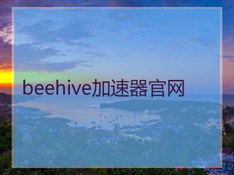 beehive加速器官网