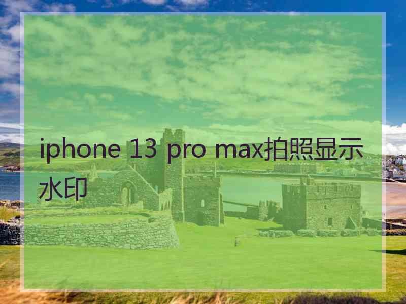 iphone 13 pro max拍照显示水印