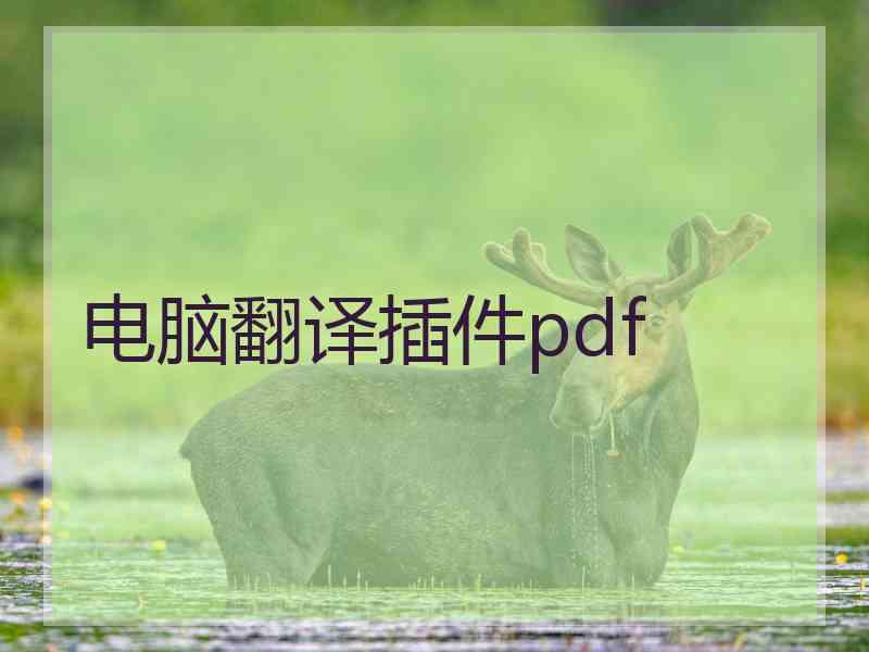 电脑翻译插件pdf