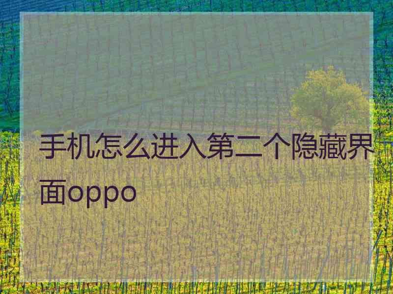 手机怎么进入第二个隐藏界面oppo