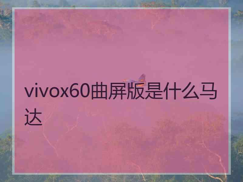 vivox60曲屏版是什么马达