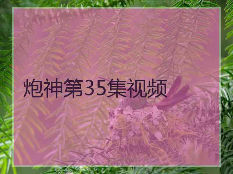 炮神第35集视频