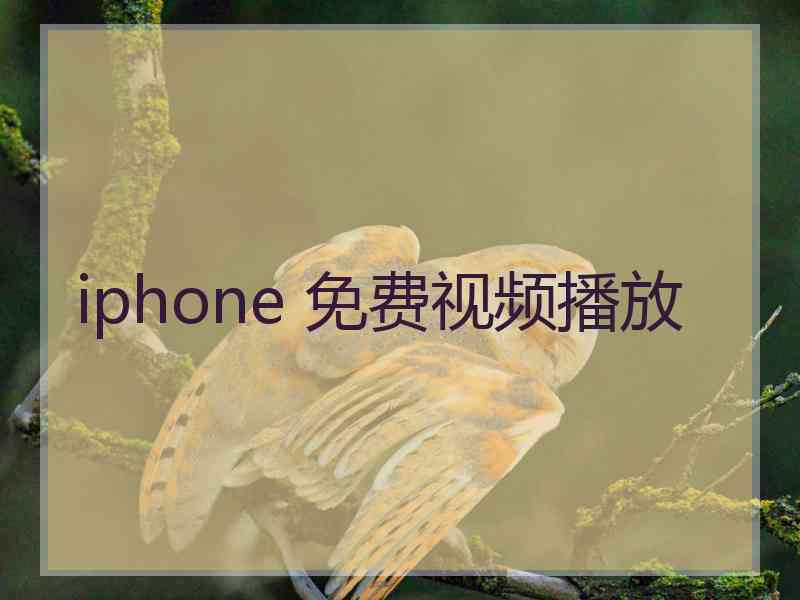 iphone 免费视频播放