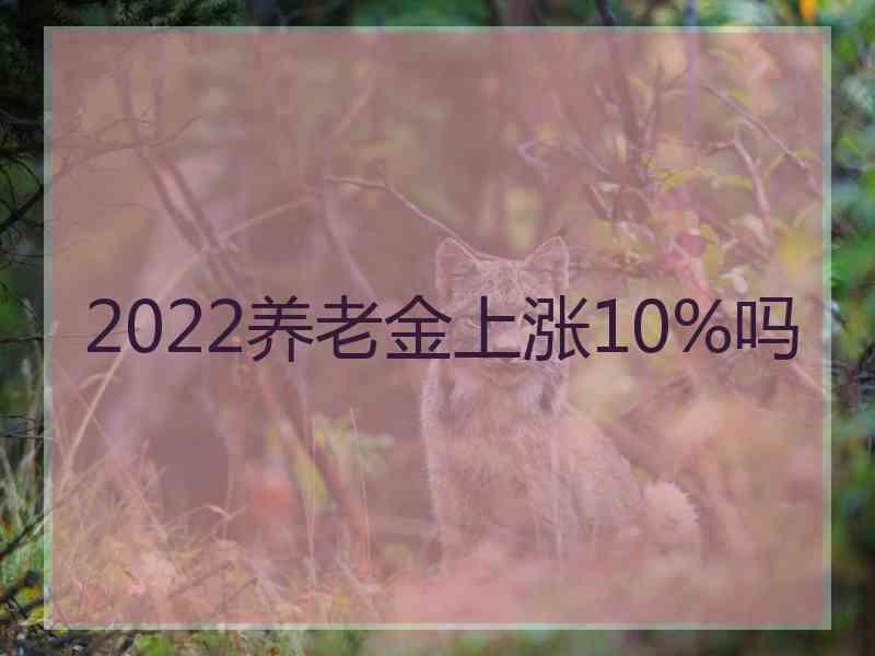 2022养老金上涨10%吗