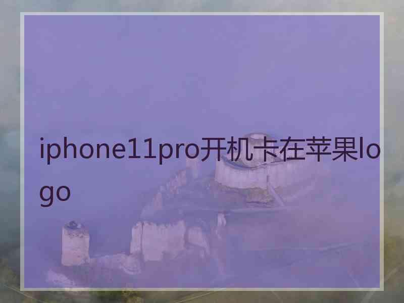 iphone11pro开机卡在苹果logo