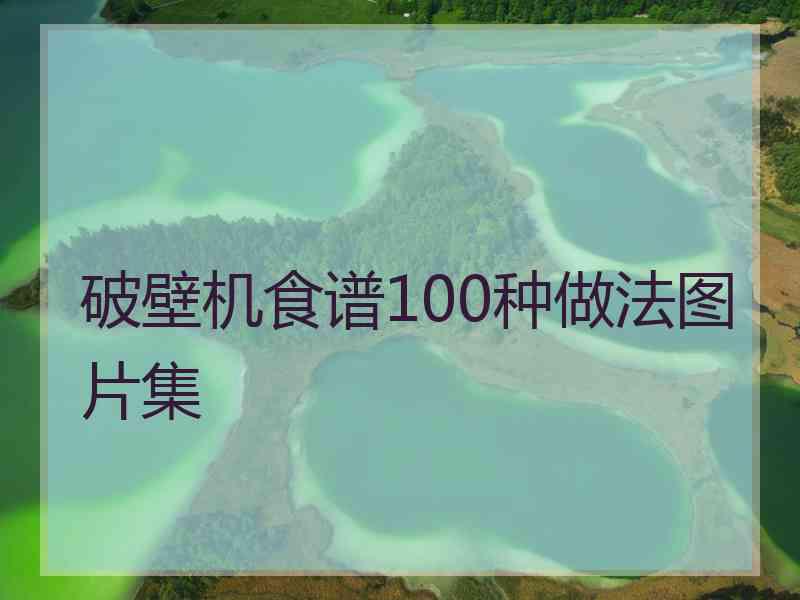 破壁机食谱100种做法图片集