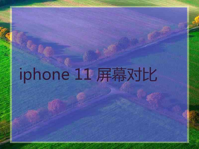 iphone 11 屏幕对比