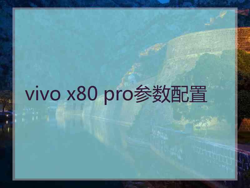 vivo x80 pro参数配置