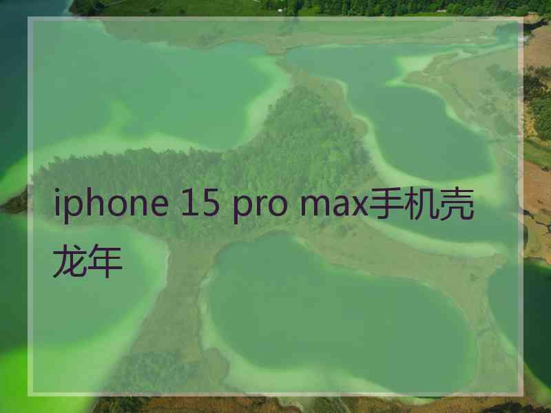 iphone 15 pro max手机壳龙年