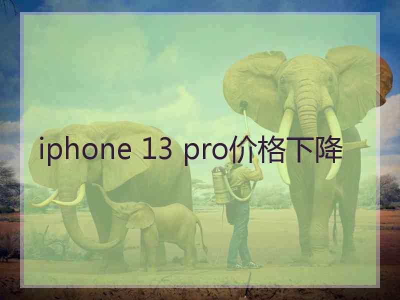 iphone 13 pro价格下降