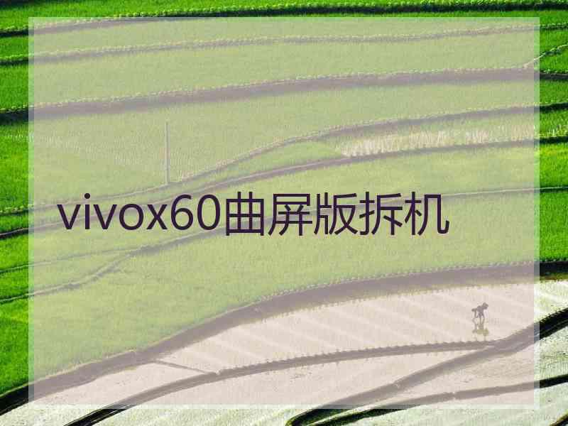 vivox60曲屏版拆机