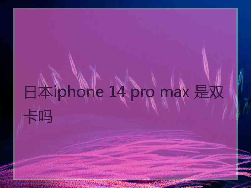 日本iphone 14 pro max 是双卡吗