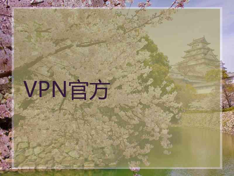 VPN官方