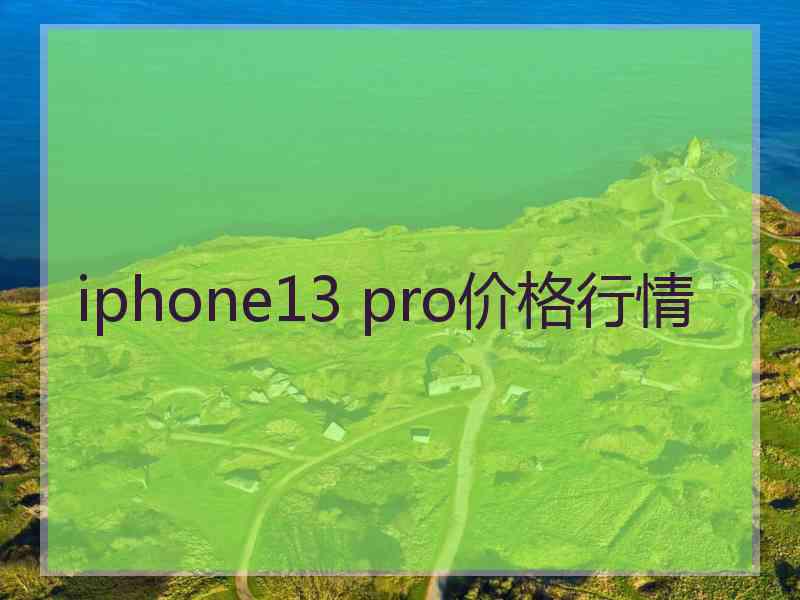 iphone13 pro价格行情