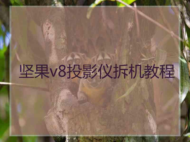 坚果v8投影仪拆机教程