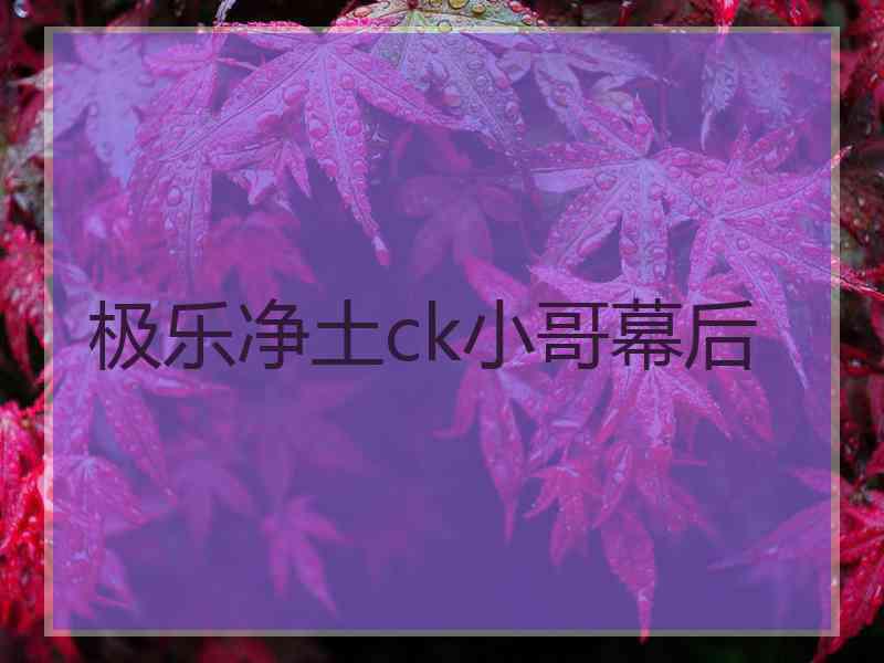 极乐净土ck小哥幕后