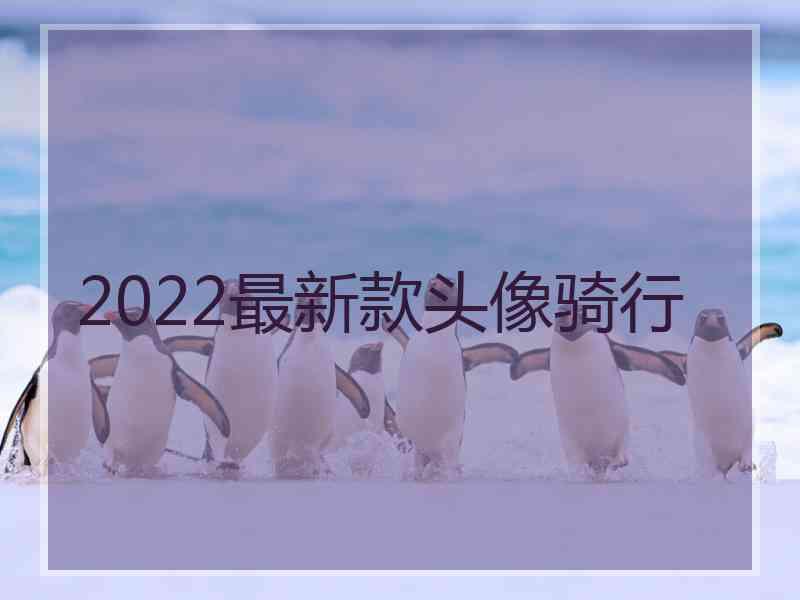 2022最新款头像骑行