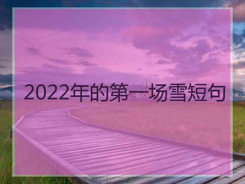 2022年的第一场雪短句