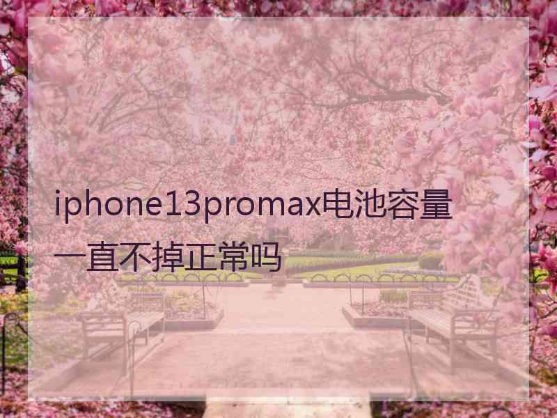 iphone13promax电池容量一直不掉正常吗