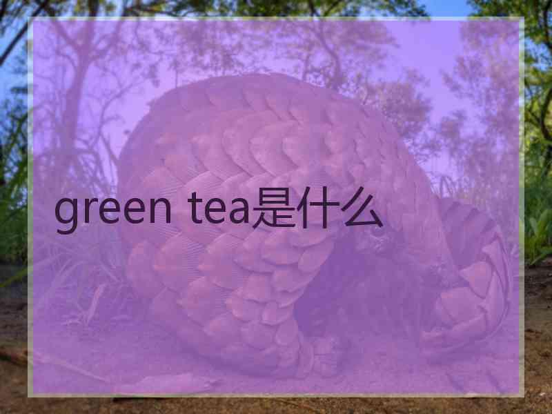 green tea是什么