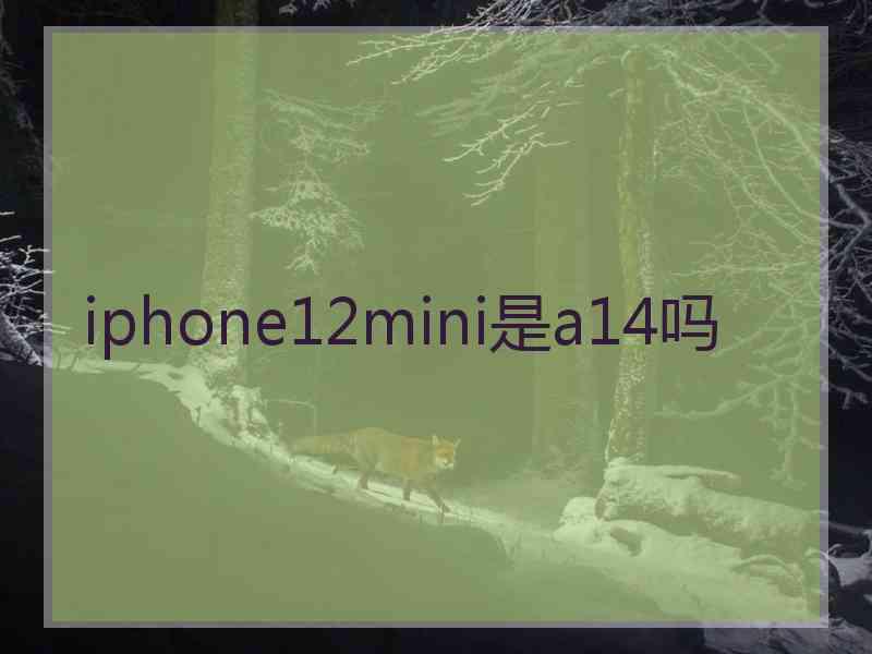 iphone12mini是a14吗