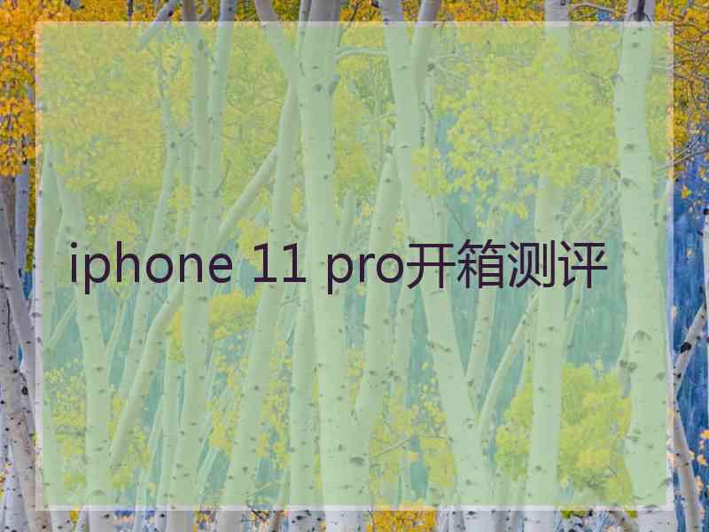 iphone 11 pro开箱测评