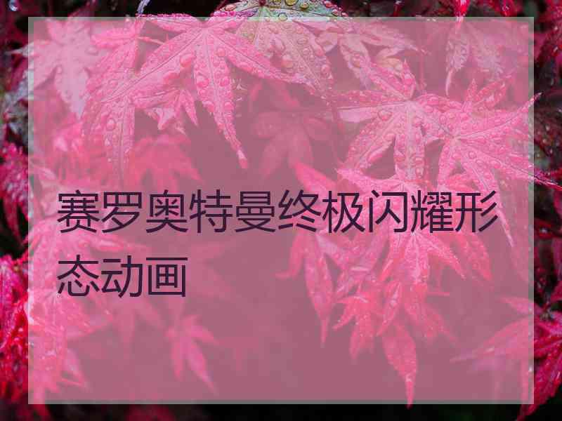 赛罗奥特曼终极闪耀形态动画