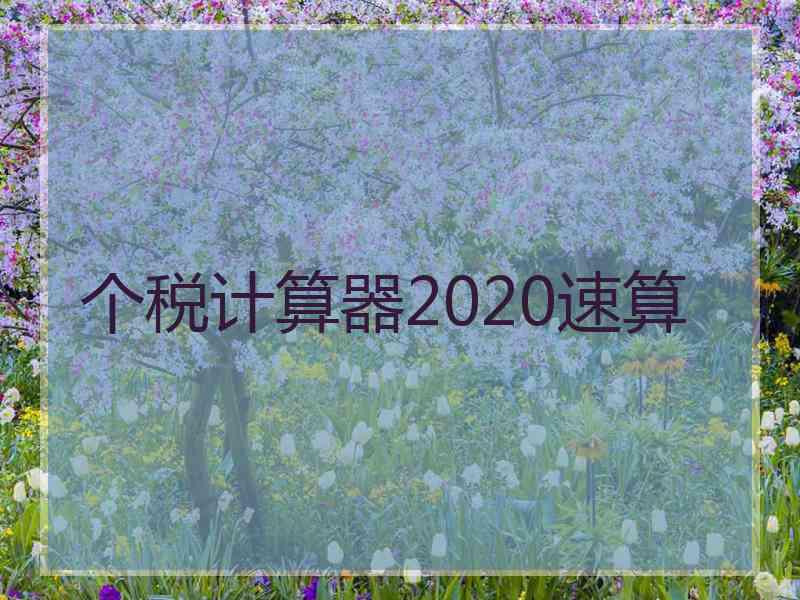 个税计算器2020速算