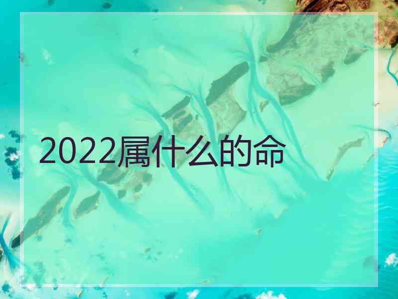 2022属什么的命