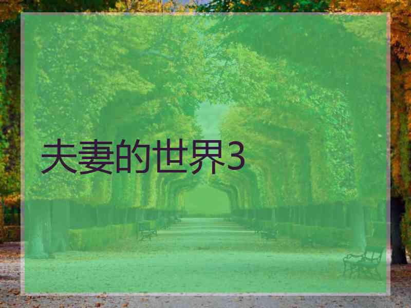 夫妻的世界3