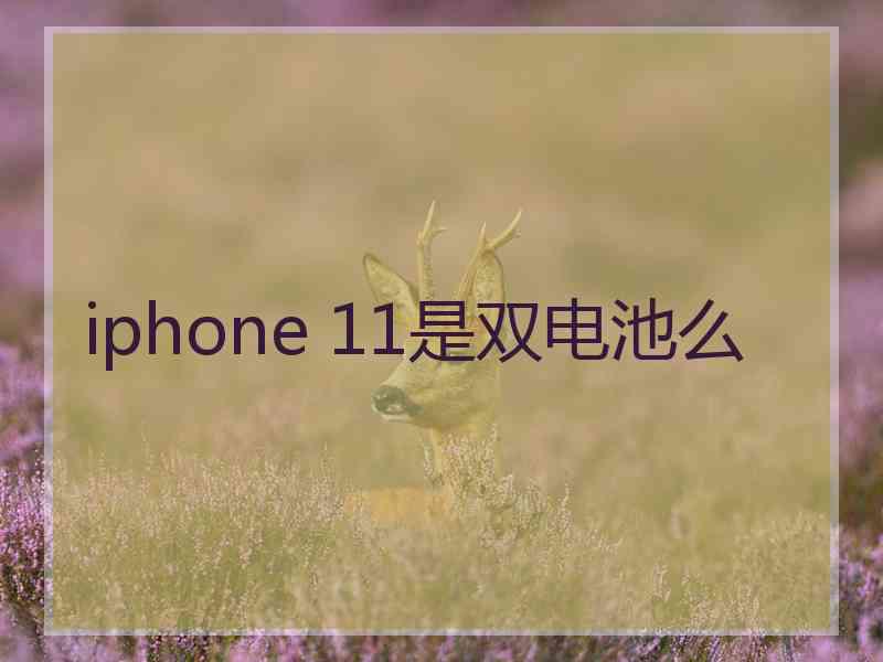 iphone 11是双电池么