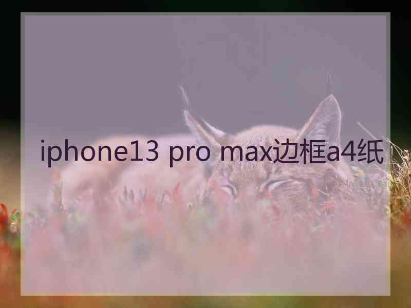 iphone13 pro max边框a4纸