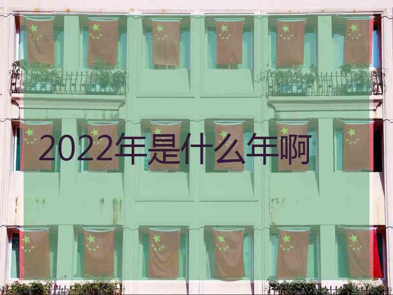 2022年是什么年啊