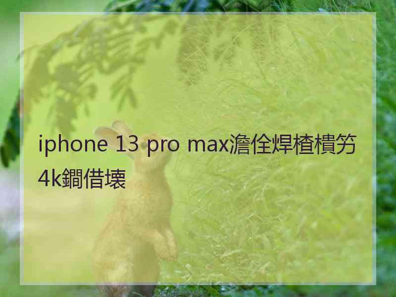 iphone 13 pro max澹佺焊楂樻竻4k鐧借壊