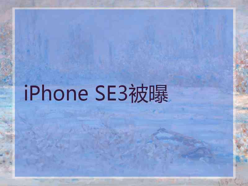 iPhone SE3被曝