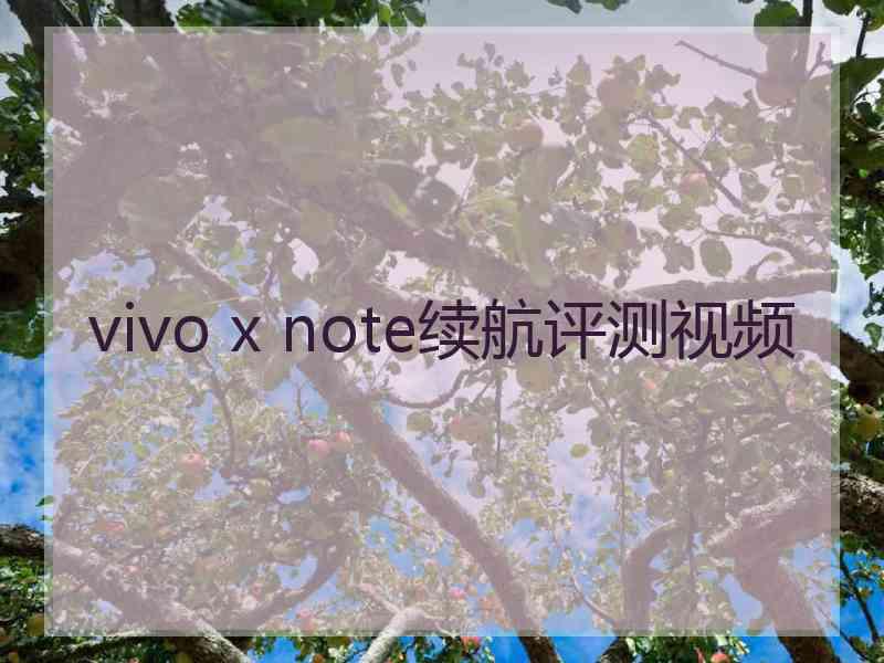 vivo x note续航评测视频