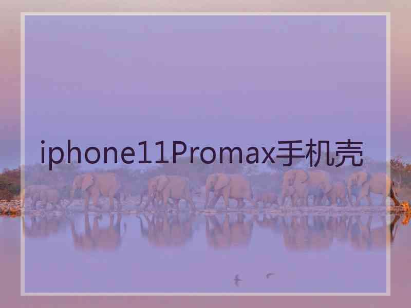 iphone11Promax手机壳