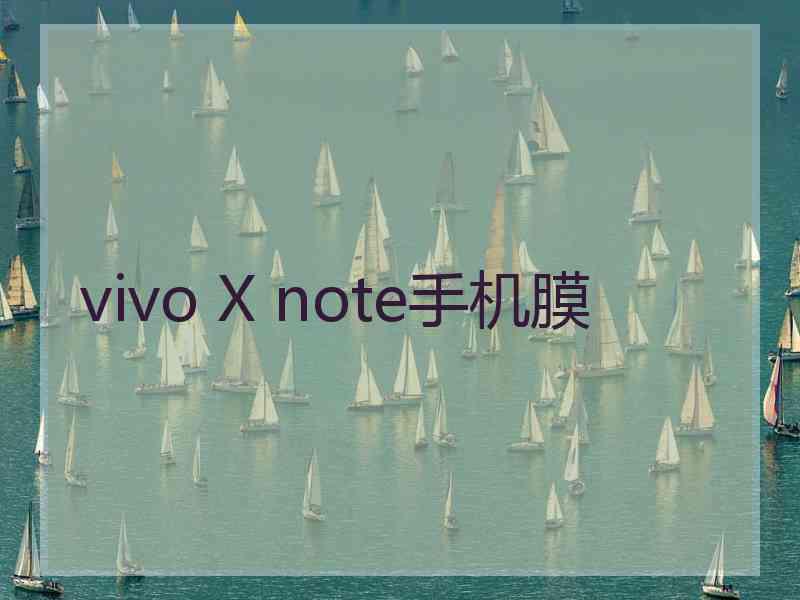 vivo X note手机膜