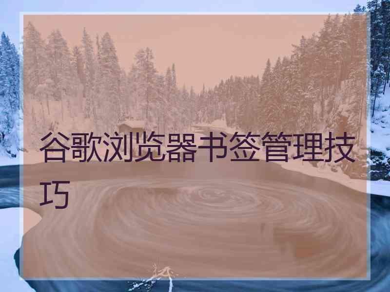 谷歌浏览器书签管理技巧