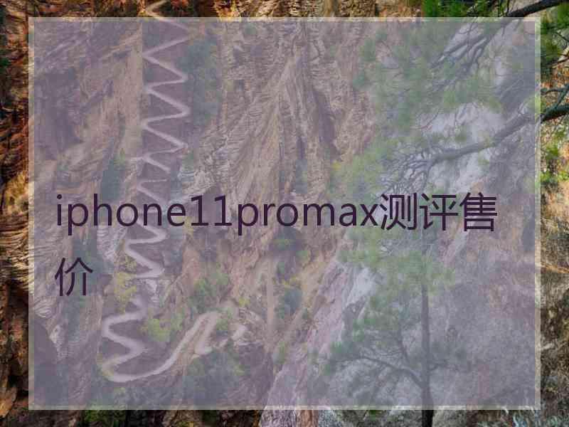 iphone11promax测评售价