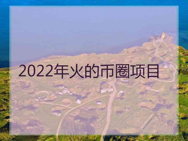 2022年火的币圈项目