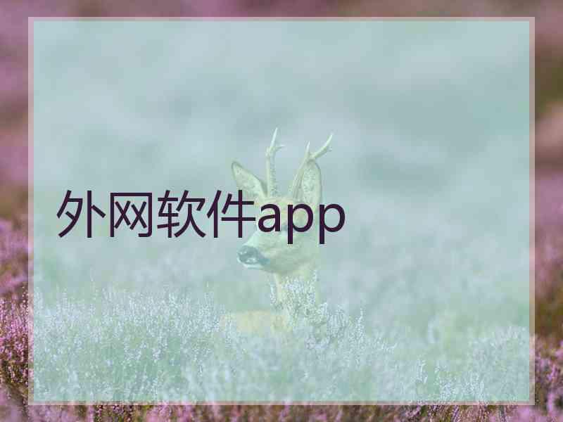 外网软件app