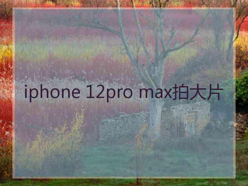 iphone 12pro max拍大片