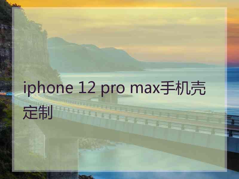 iphone 12 pro max手机壳定制