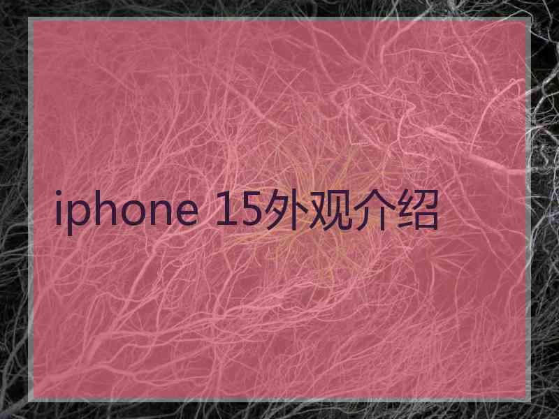 iphone 15外观介绍