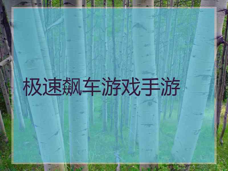 极速飙车游戏手游