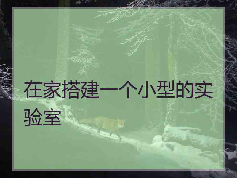 在家搭建一个小型的实验室