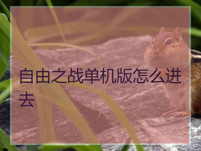 自由之战单机版怎么进去