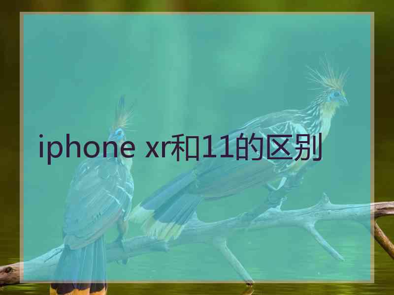 iphone xr和11的区别